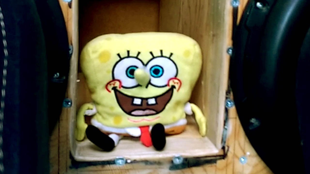 BOB L'EPONGE s'ambiance dans un caisson de basses !