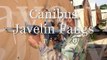 Canibus - Javelin Fangz w_ lyrics