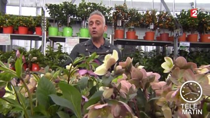 Jardin-Vive le printemps