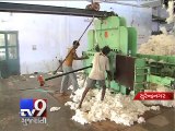 Cotton wilts on poor demand - Tv9 Gujarati