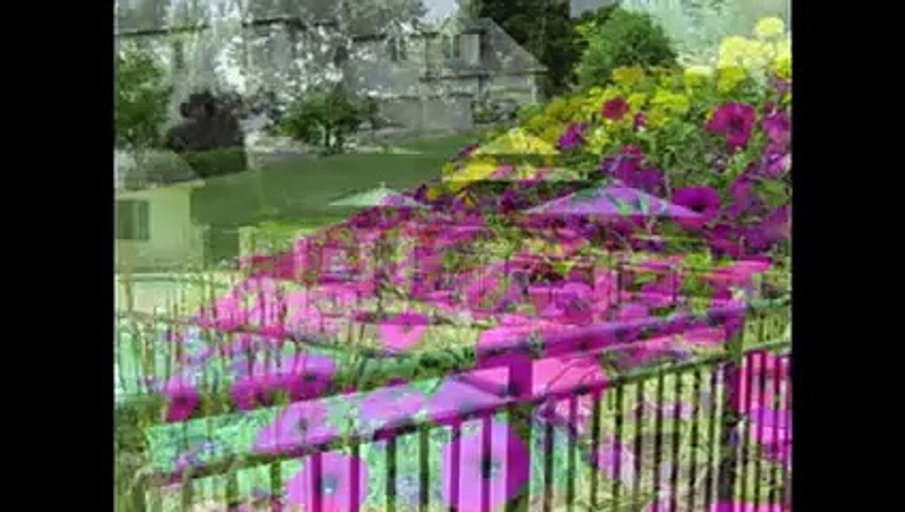 C.M. Jones, Inc. - Highly Specialized Landscaping Firm