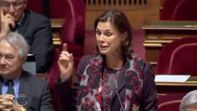 Isabelle Debré - Réforme des rythmes scolaires