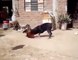fight between dog and hen