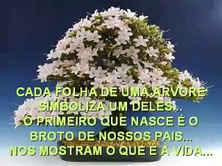 minha árvore de amigos