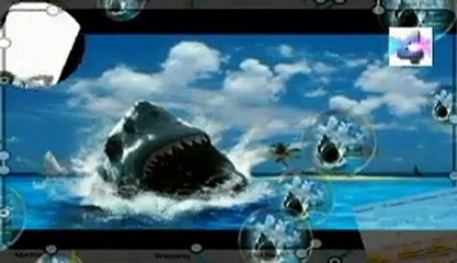 por que hay gente miedosa, Misterios y Enigmas, Español latino