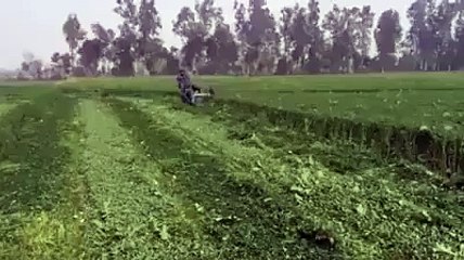 کیا کمال کی مشین ہے