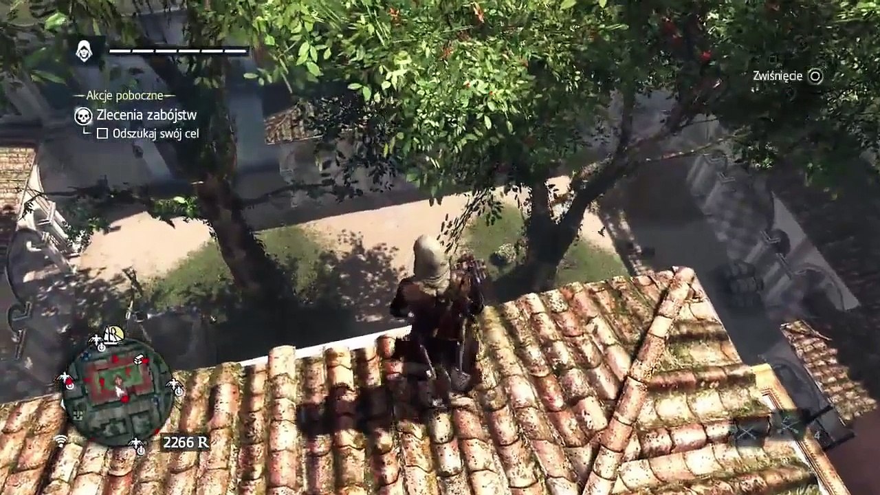 Assassin's Creed IV- Black Flag - Assassination gameplay PS4