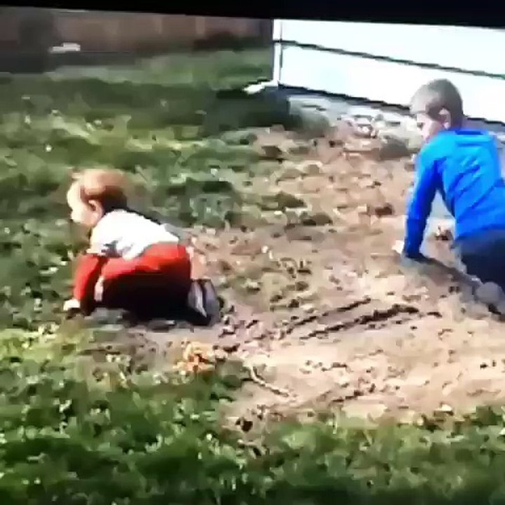 Dogs catch kid