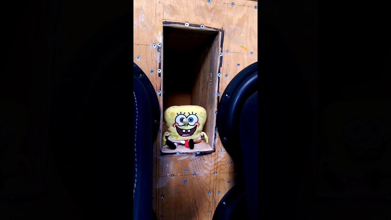 bob l'éponge dans un caisson de basses