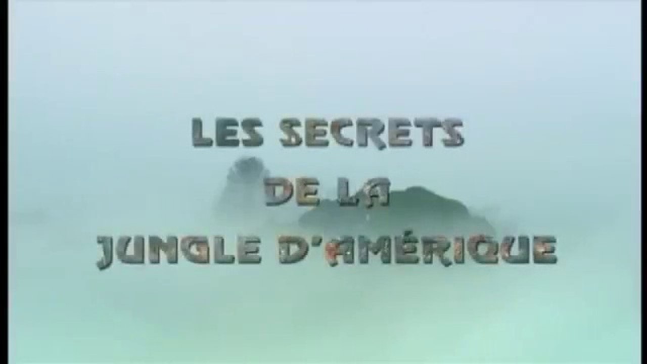 La société des araignées