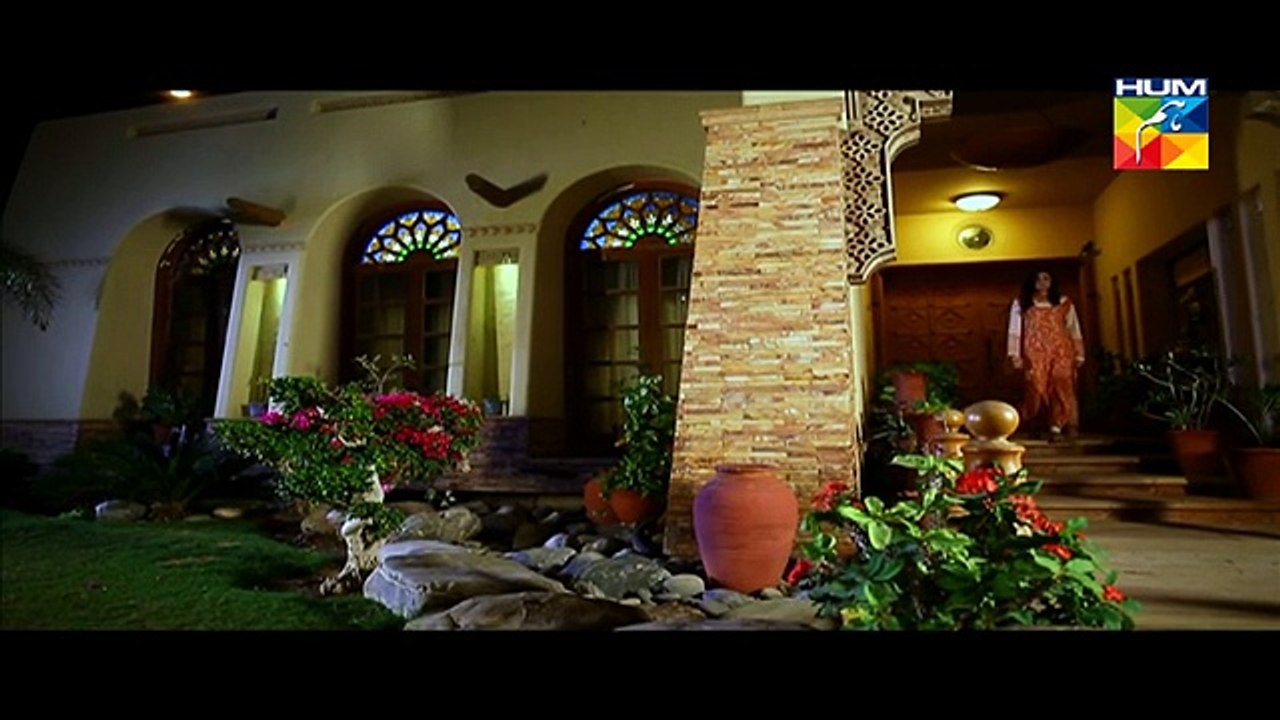 Zindagi Tum Ho Episode 14 Full High Quality HUM TV 20 March 2015