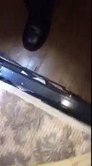 www.everythingbedbugs.com- tenant faces eviction on Xmas