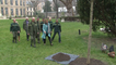 Journée internationale des forêts : Ségolène Royal plante un alisier dans les jardins de l’Hôtel de Roquelaure