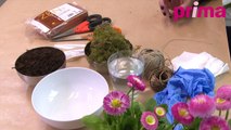 Comment faire un kokedama ? Plante à suspendre - DIY/Tuto déco-jardin