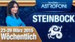 Monatliches Horoskop zum Sternzeichen Steinbock (23-29 März 2015)