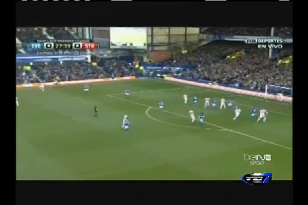 Everton 1 - Stoke City 0