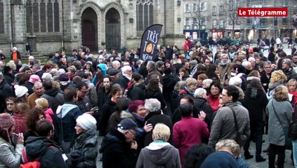 Download Video: Quimper. Plusieurs centaines de personnes mobilisées pour la culture