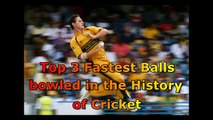 Cricket - Top 3 Fastest Bowlers in the History of Cricket