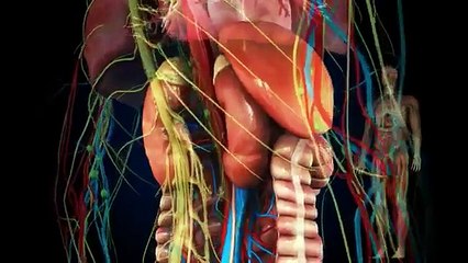 Reverse your diabetes today