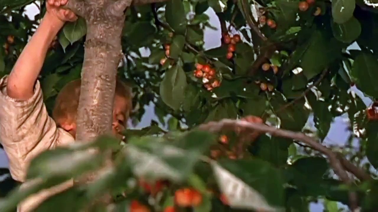 Amintiri din copilărie [1964]