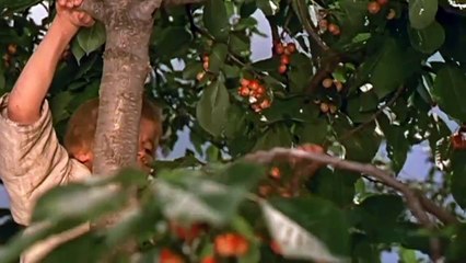 Amintiri din copilărie [1964]