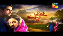 Sadqay Tumhare Episode 24 on Hum Tv in High Quality 20th March 2015