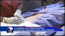 Embarazadas pueden transmitir virus de “Chikungunya” a bebés