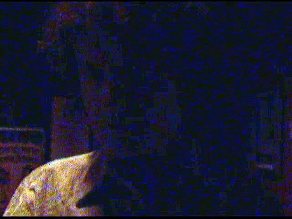 Yuri Shapochka offers advice to young filmmakers Sidewalk Film festival