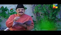 Joru Ka Ghulam Episode 23 Full Hum TV Drama Mar 20, 2015