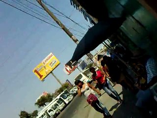 Sneakers crushed a lizard on street