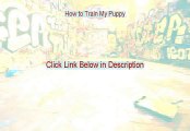 How to Train My Puppy Free Review (See my Review 2015)