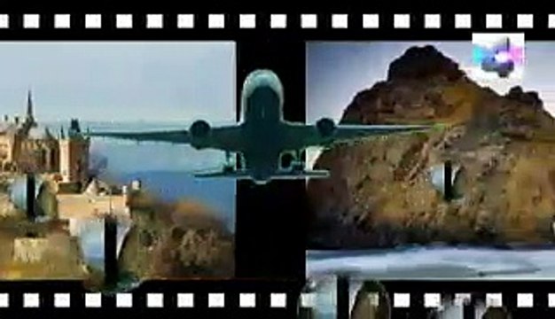 la defensa de las plantas, Misterios y Enigmas, Español latino