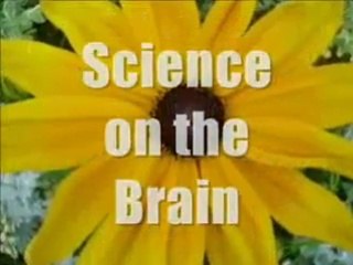 How Much Sugar Is in a Can of Soda? Find Out & Stay Healthy! 🥤