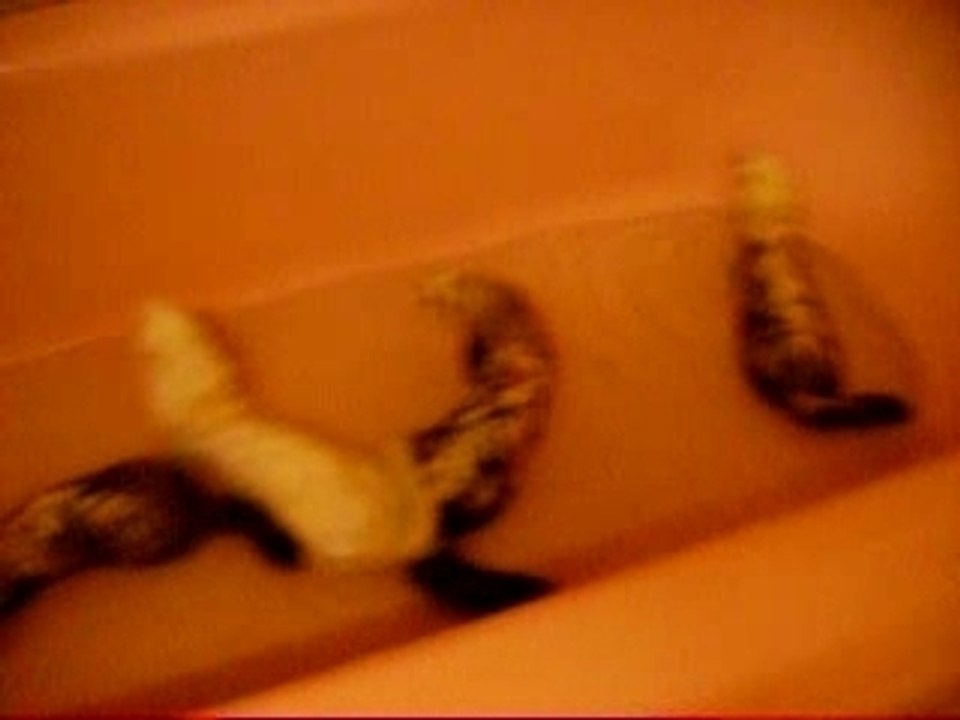 PICT1791