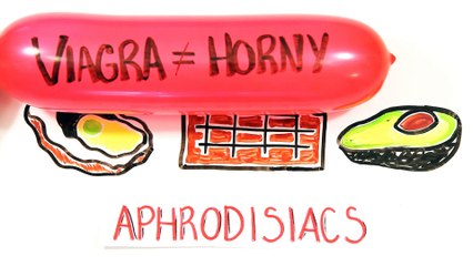 Can Science Improve Your Sex Life