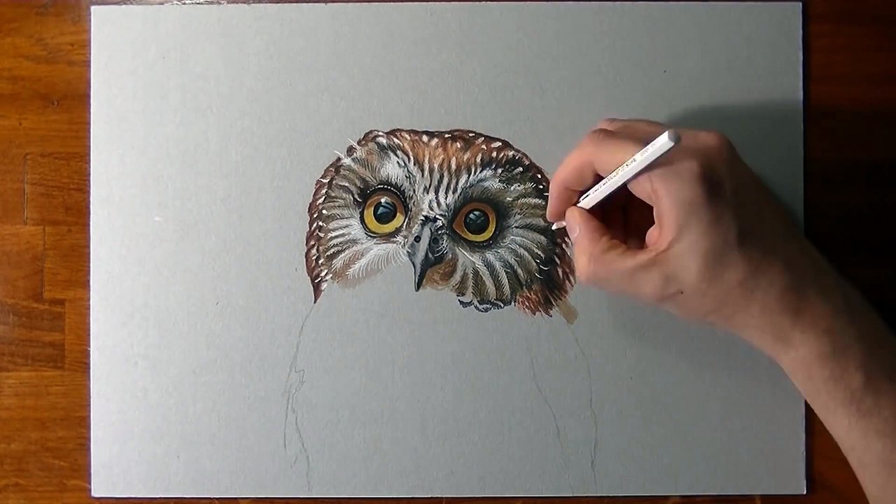 How I draw an owl