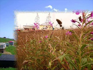 KARADAĞ TURİZM GÜZELLEŞTİRME VE KORUMA DERNEĞİ