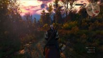 THE WITCHER 3 Wild Hunt - 7 Minutes of Gameplay