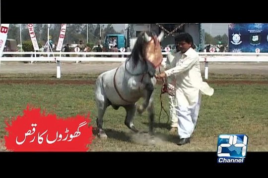 Dancing Horses 23rd March Azm-e-Pakistan Parade