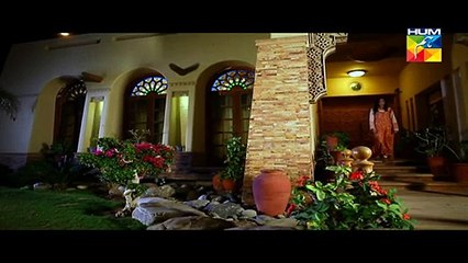 Zindagi Tum Ho Episode 14 Full on Hum Tv - March 20th 2015