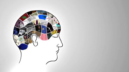 The chemistry of cookies - Stephanie Warren