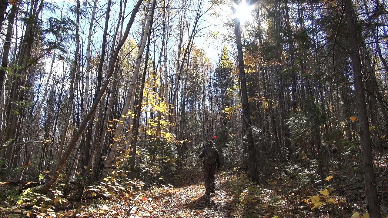 chasse a l'arc BIche 2014