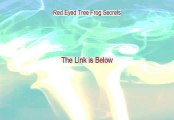 Red Eyed Tree Frog Secrets Free Review (Watch this)