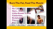 Burn The Fat Feed The Muscle pdf   Burn The Fat Feed The Muscle