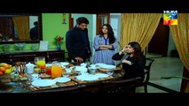 Sartaj Mera Tu Raaj Mera Episode 10 Full HUM TV Drama Mar 10, 2015