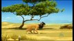 Leon Error of the Savannah Best Episode - Cartoons For Children - Funny Animals Cartoon