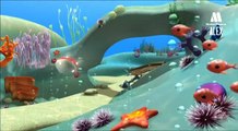The whale, learn sea animals with children - Educational video cartoons for toddlers and babies
