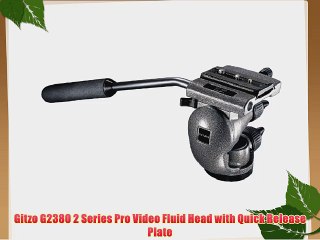 Gitzo G2380 2 Series Pro Video Fluid Head with Quick Release Plate