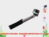 Travel Pole Silver - 13- 38 GoPro Extension Pole with Tripod Mount and Nut for GoPro Hero 43 32