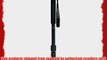 Induro Carbon 8X Monopod CM14 57-Inch Max Height 17.6lb Load Capacity
